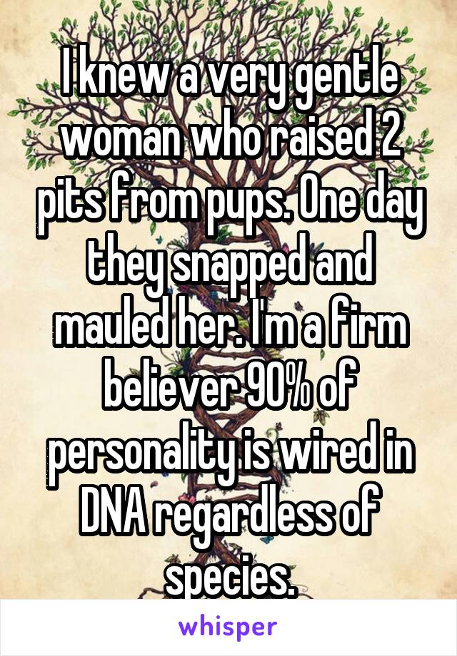 I knew a very gentle woman who raised 2 pits from pups. One day they snapped and mauled her. I'm a firm believer 90% of personality is wired in DNA regardless of species.