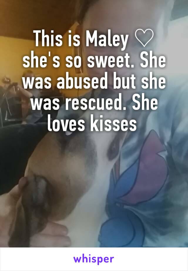 This is Maley ♡ she's so sweet. She was abused but she was rescued. She loves kisses 