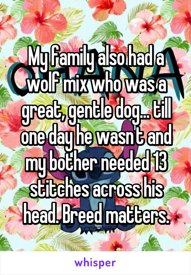 My family also had a wolf mix who was a great, gentle dog... till one day he wasn't and my bother needed 13 stitches across his head. Breed matters.