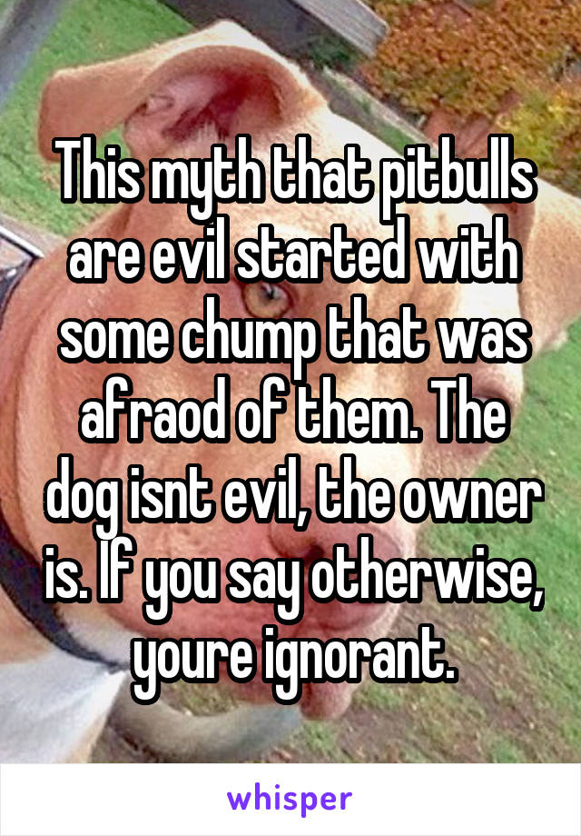 This myth that pitbulls are evil started with some chump that was afraod of them. The dog isnt evil, the owner is. If you say otherwise, youre ignorant.