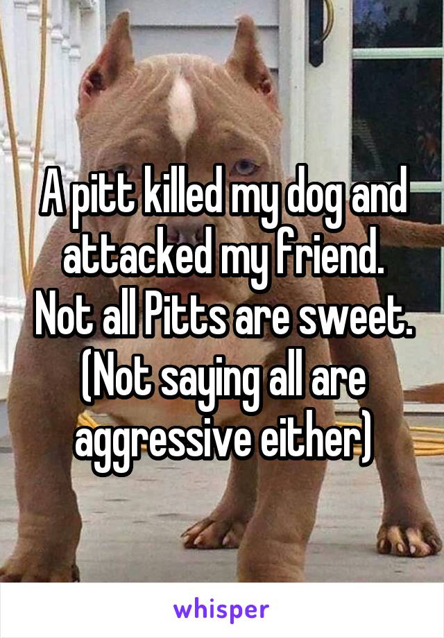 A pitt killed my dog and attacked my friend. Not all Pitts are sweet.
(Not saying all are aggressive either)