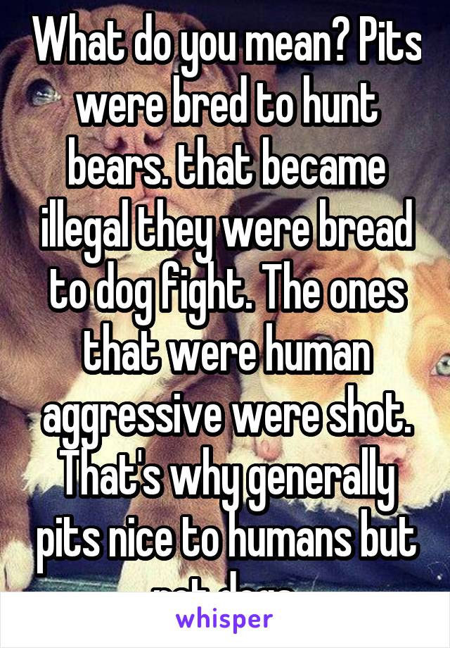 What do you mean? Pits were bred to hunt bears. that became illegal they were bread to dog fight. The ones that were human aggressive were shot. That's why generally pits nice to humans but not dogs.