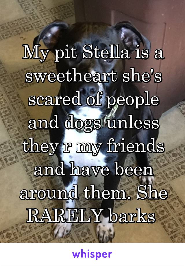 My pit Stella is a sweetheart she's scared of people and dogs unless they r my friends and have been around them. She RARELY barks 