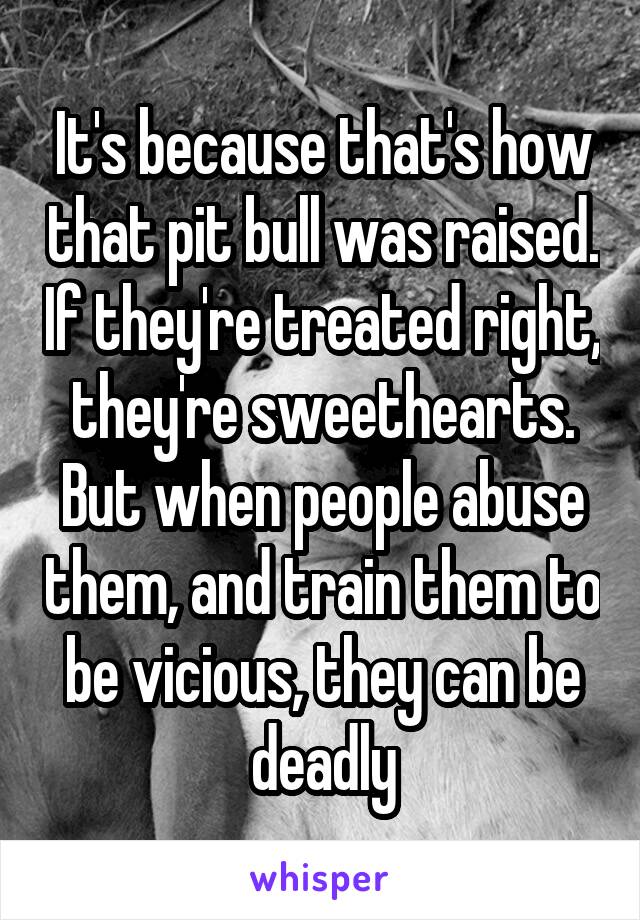 It's because that's how that pit bull was raised. If they're treated right, they're sweethearts. But when people abuse them, and train them to be vicious, they can be deadly