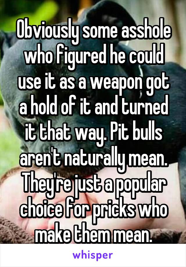 Obviously some asshole who figured he could use it as a weapon got a hold of it and turned it that way. Pit bulls aren't naturally mean. They're just a popular choice for pricks who make them mean.