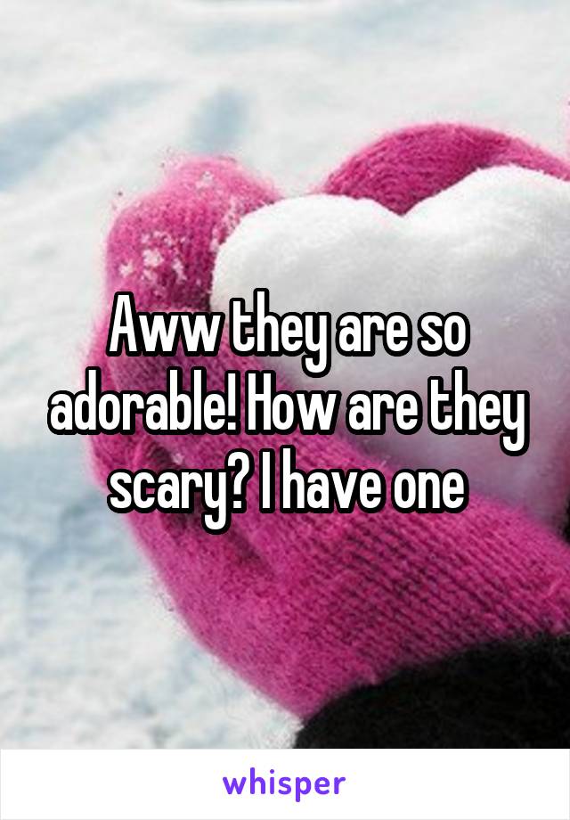 Aww they are so adorable! How are they scary? I have one