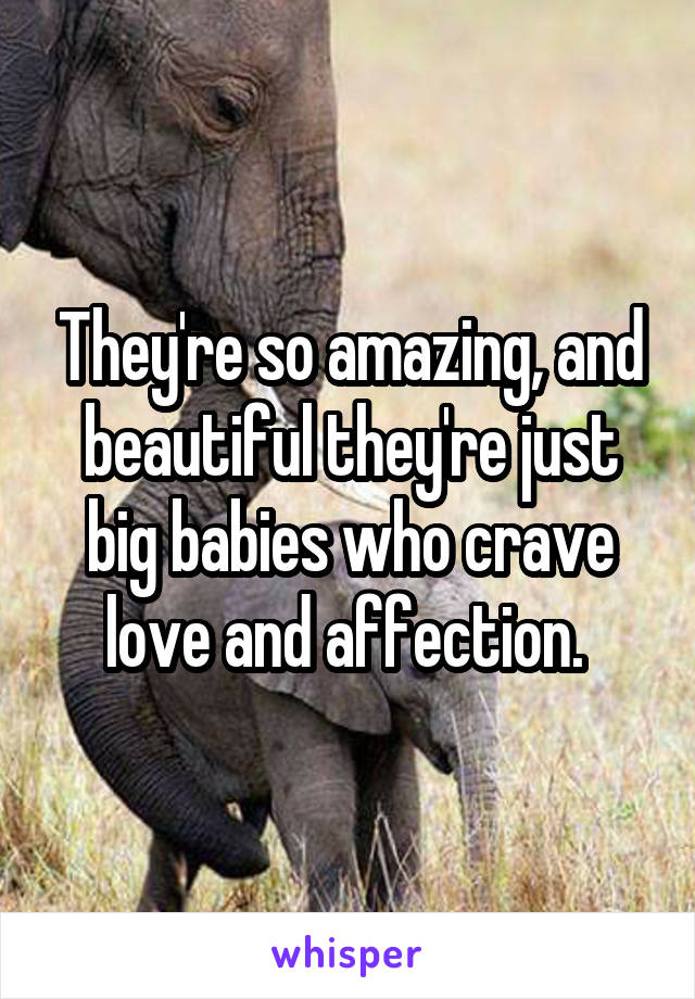 They're so amazing, and beautiful they're just big babies who crave love and affection. 