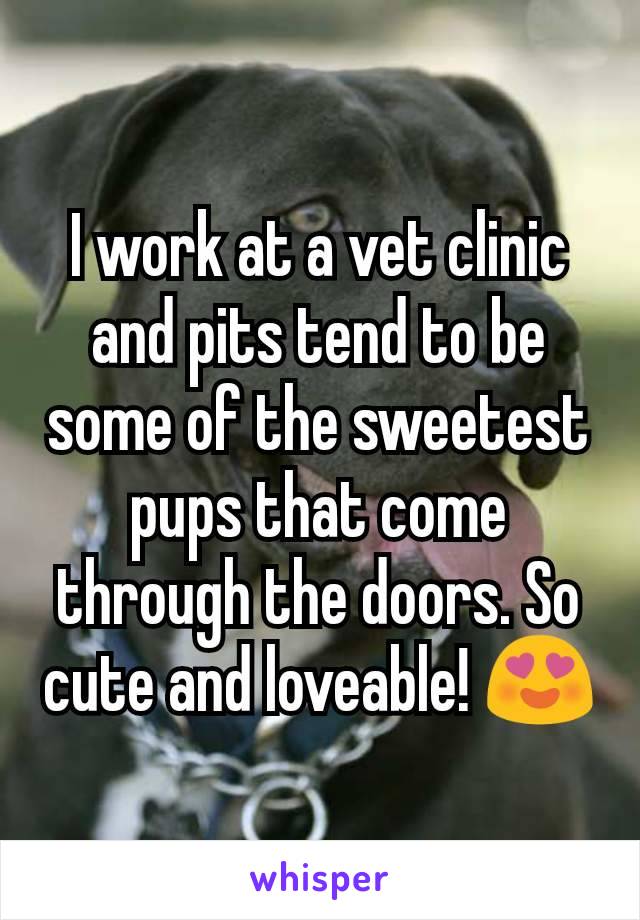 I work at a vet clinic and pits tend to be some of the sweetest pups that come through the doors. So cute and loveable! 😍