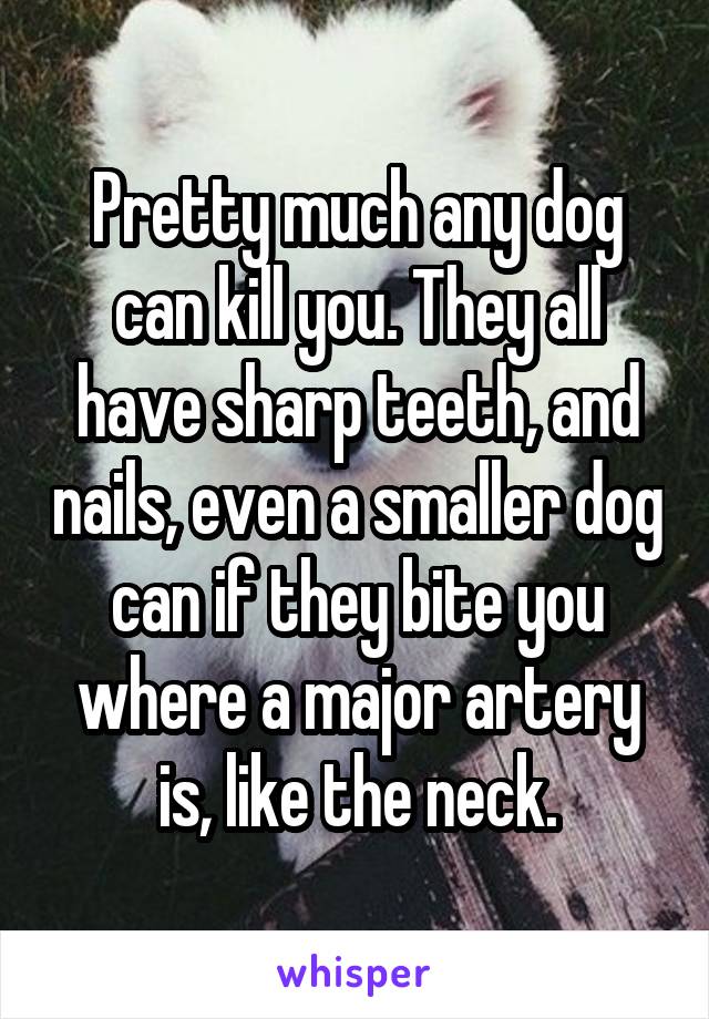 Pretty much any dog can kill you. They all have sharp teeth, and nails, even a smaller dog can if they bite you where a major artery is, like the neck.