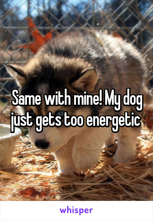 Same with mine! My dog just gets too energetic 