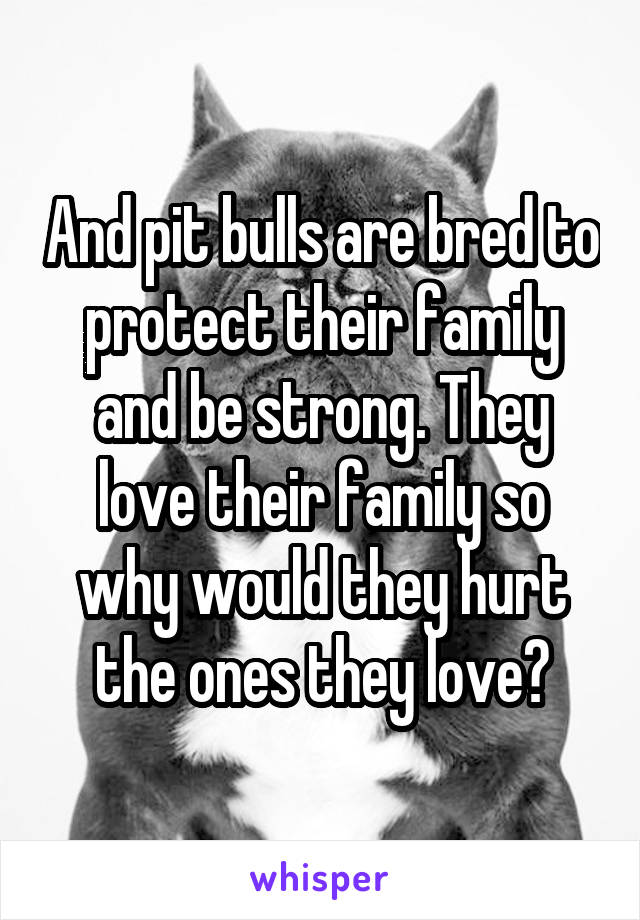 And pit bulls are bred to protect their family and be strong. They love their family so why would they hurt the ones they love?