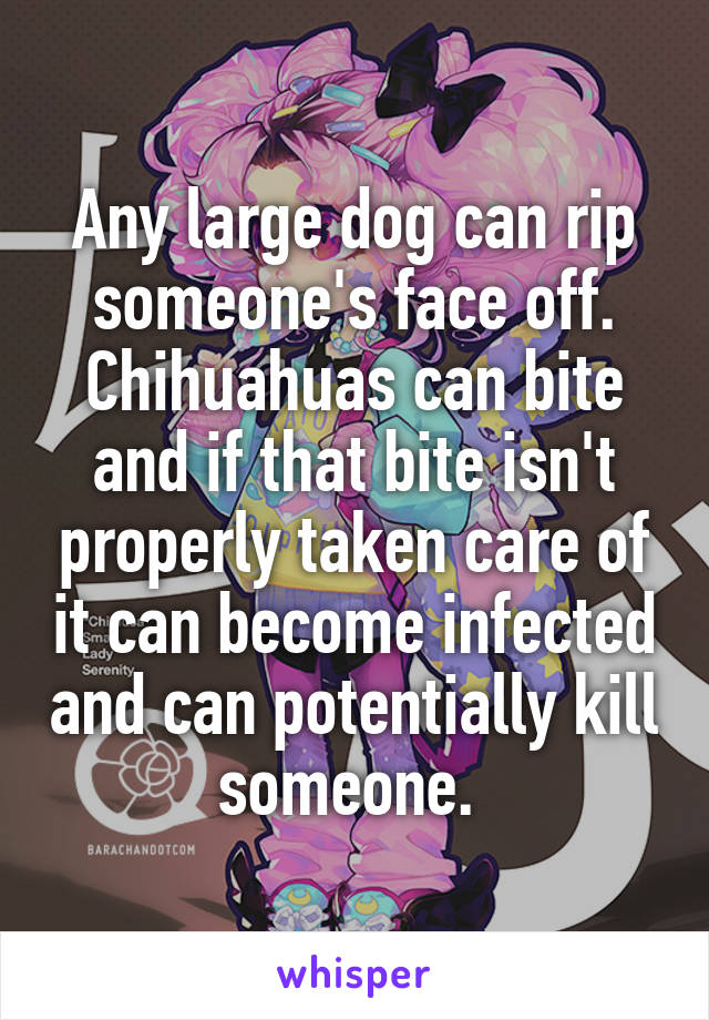 Any large dog can rip someone's face off. Chihuahuas can bite and if that bite isn't properly taken care of it can become infected and can potentially kill someone. 