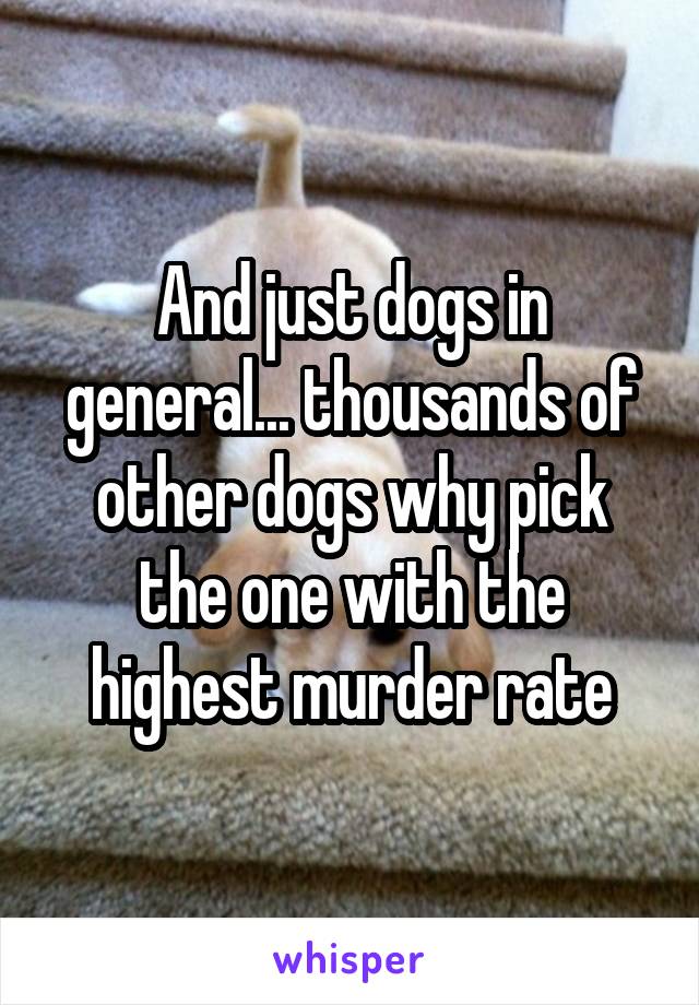 And just dogs in general... thousands of other dogs why pick the one with the highest murder rate