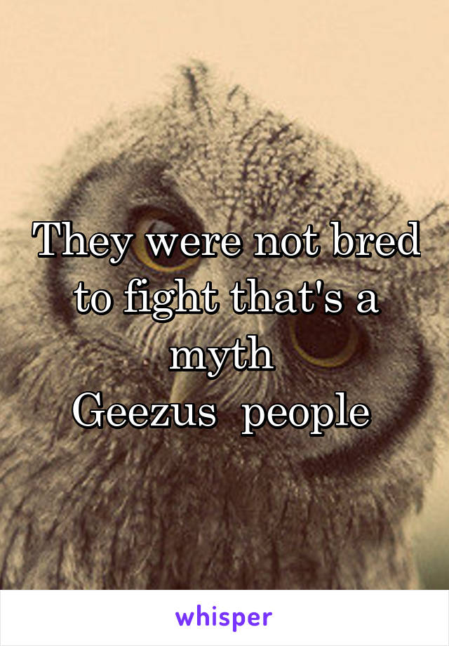 They were not bred to fight that's a myth 
Geezus  people 