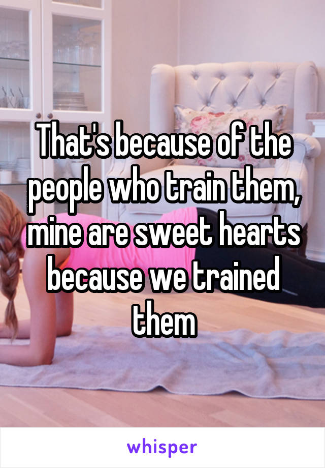 That's because of the people who train them, mine are sweet hearts because we trained them