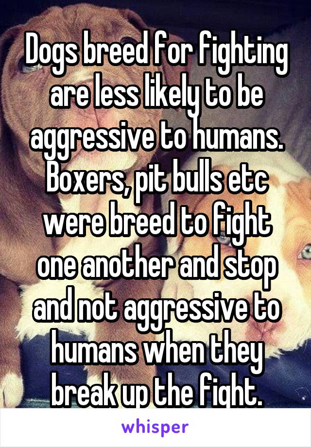 Dogs breed for fighting are less likely to be aggressive to humans. Boxers, pit bulls etc were breed to fight one another and stop and not aggressive to humans when they break up the fight.