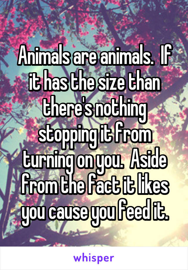 Animals are animals.  If it has the size than there's nothing stopping it from turning on you.  Aside from the fact it likes you cause you feed it.