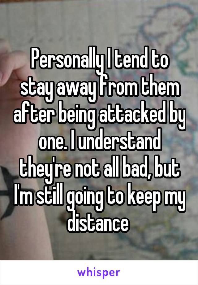 Personally I tend to stay away from them after being attacked by one. I understand they're not all bad, but I'm still going to keep my distance 