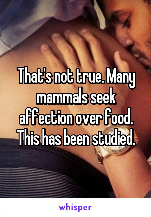 That's not true. Many mammals seek affection over food. This has been studied.