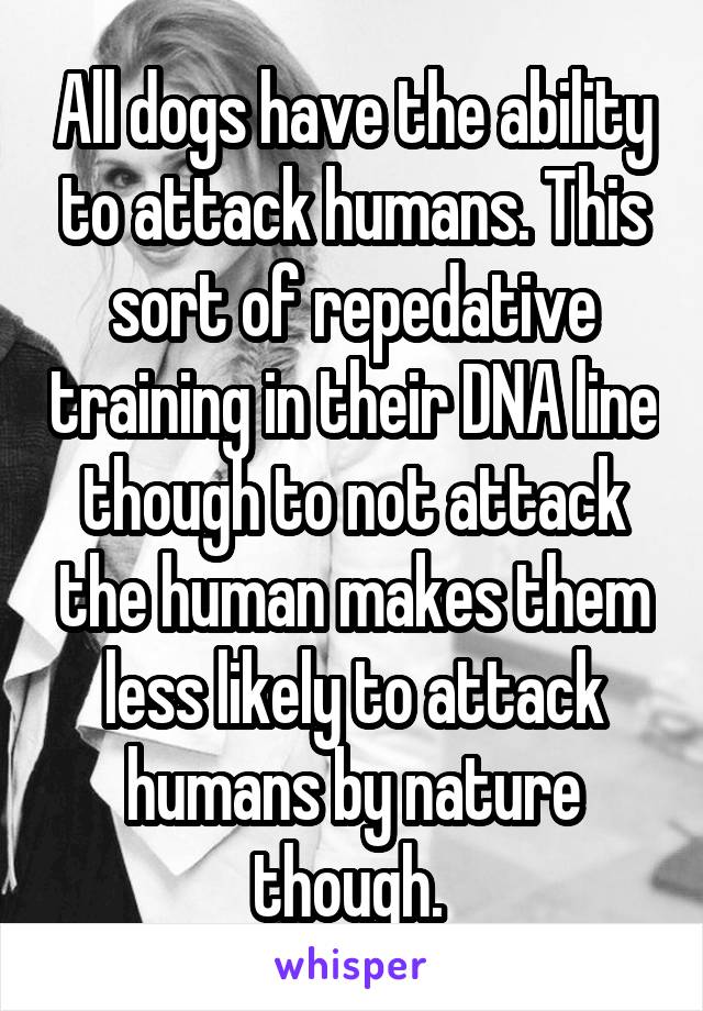 All dogs have the ability to attack humans. This sort of repedative training in their DNA line though to not attack the human makes them less likely to attack humans by nature though. 