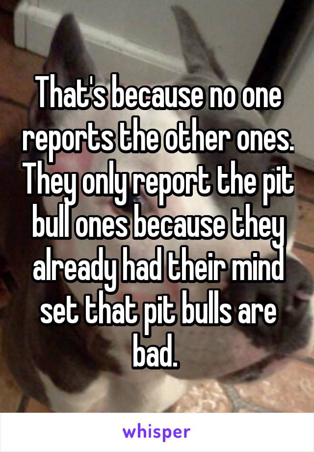 That's because no one reports the other ones. They only report the pit bull ones because they already had their mind set that pit bulls are bad. 