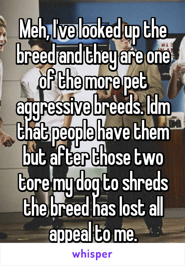 Meh, I've looked up the breed and they are one of the more pet aggressive breeds. Idm that people have them but after those two tore my dog to shreds the breed has lost all appeal to me.