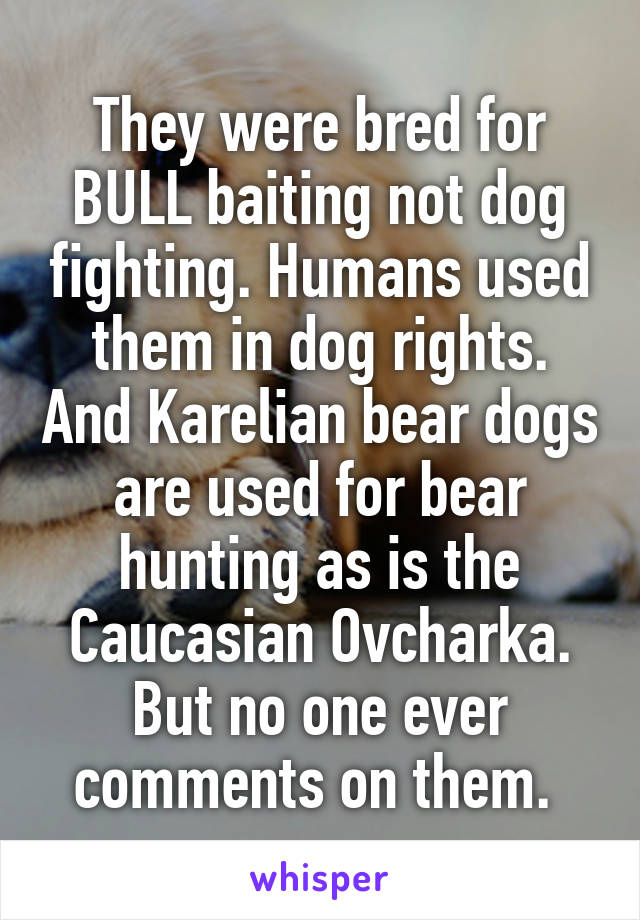 They were bred for BULL baiting not dog fighting. Humans used them in dog rights. And Karelian bear dogs are used for bear hunting as is the Caucasian Ovcharka. But no one ever comments on them. 