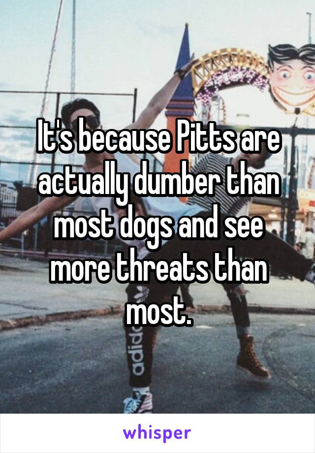 It's because Pitts are actually dumber than most dogs and see more threats than most.