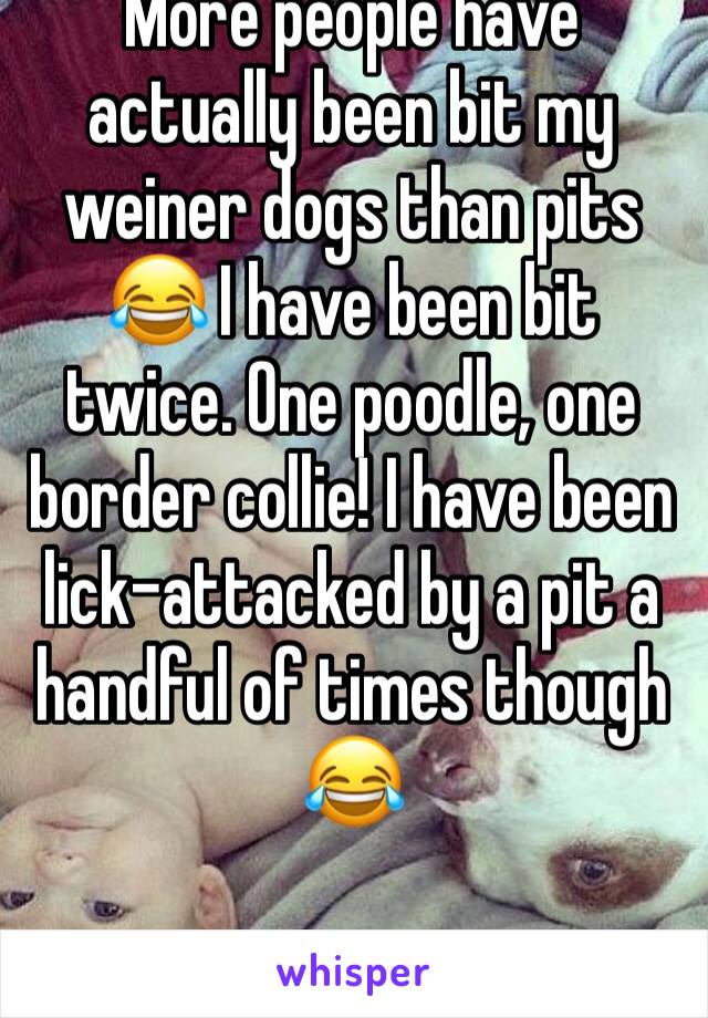 More people have actually been bit my weiner dogs than pits 😂 I have been bit twice. One poodle, one border collie! I have been lick-attacked by a pit a handful of times though 😂