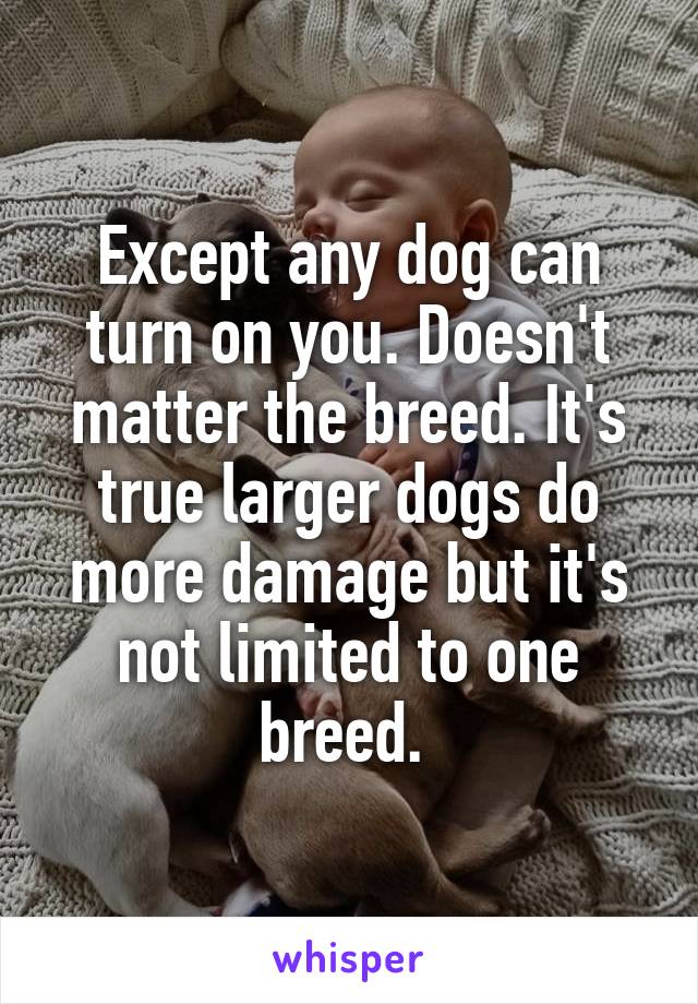 Except any dog can turn on you. Doesn't matter the breed. It's true larger dogs do more damage but it's not limited to one breed. 