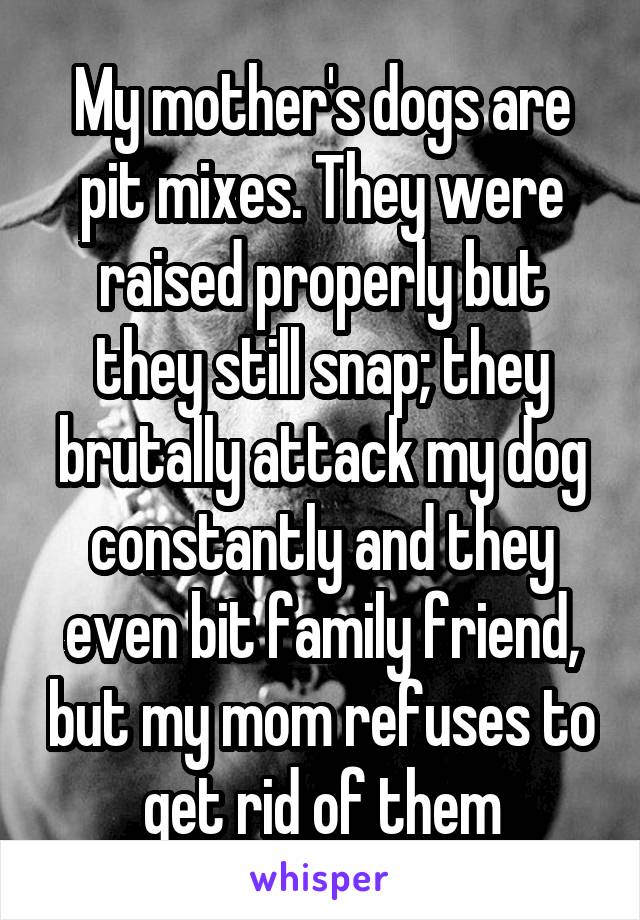 My mother's dogs are pit mixes. They were raised properly but they still snap; they brutally attack my dog constantly and they even bit family friend, but my mom refuses to get rid of them