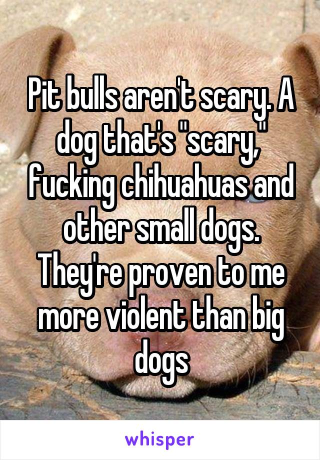 Pit bulls aren't scary. A dog that's "scary," fucking chihuahuas and other small dogs. They're proven to me more violent than big dogs