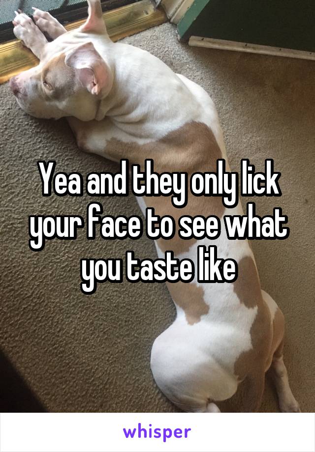 Yea and they only lick your face to see what you taste like