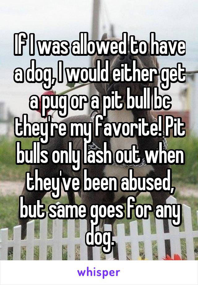 If I was allowed to have a dog, I would either get a pug or a pit bull bc they're my favorite! Pit bulls only lash out when they've been abused, but same goes for any dog.