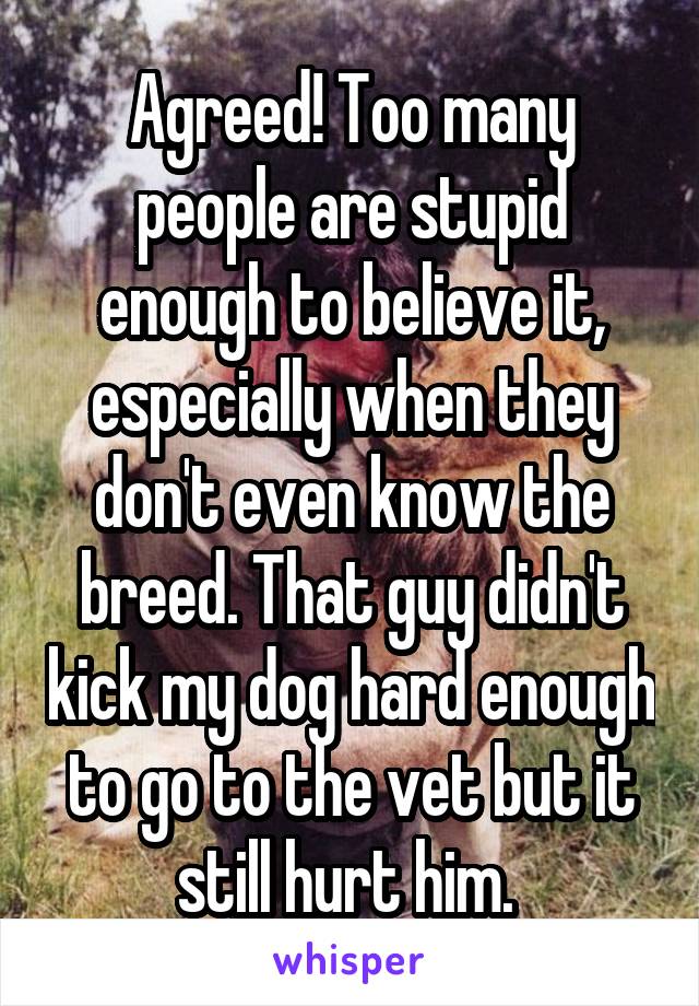 Agreed! Too many people are stupid enough to believe it, especially when they don't even know the breed. That guy didn't kick my dog hard enough to go to the vet but it still hurt him. 