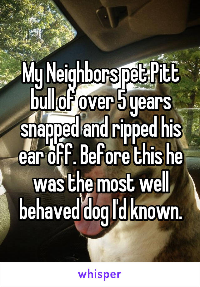 My Neighbors pet Pitt bull of over 5 years snapped and ripped his ear off. Before this he was the most well behaved dog I'd known.