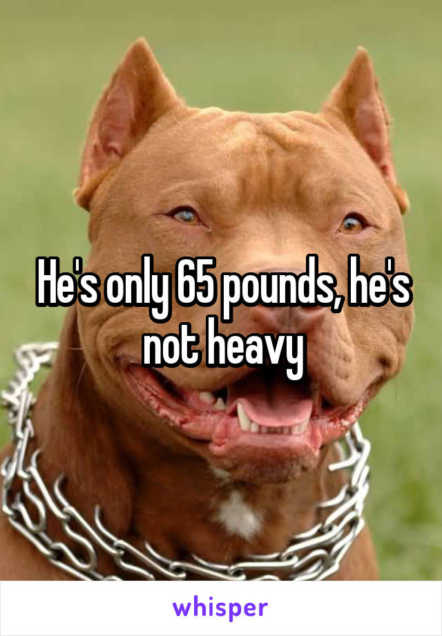 He's only 65 pounds, he's not heavy