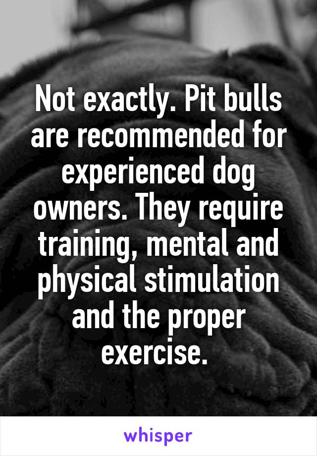 Not exactly. Pit bulls are recommended for experienced dog owners. They require training, mental and physical stimulation and the proper exercise. 