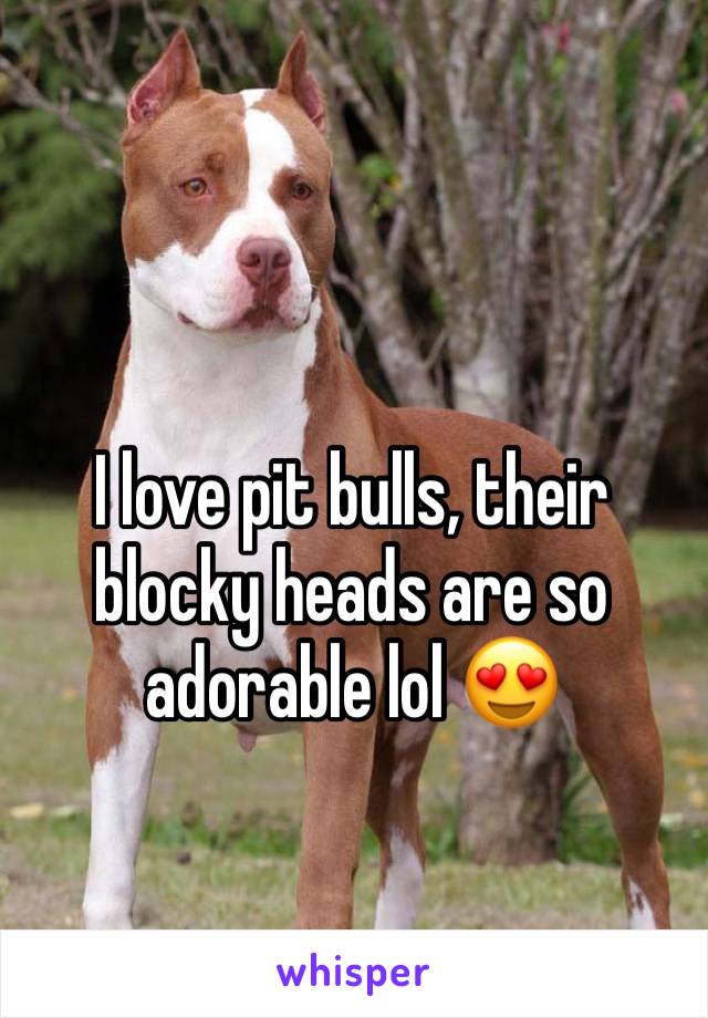 I love pit bulls, their blocky heads are so adorable lol 😍