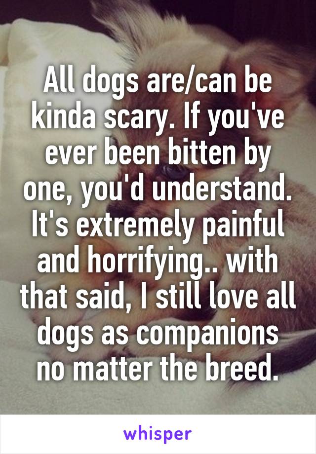 All dogs are/can be kinda scary. If you've ever been bitten by one, you'd understand. It's extremely painful and horrifying.. with that said, I still love all dogs as companions no matter the breed.