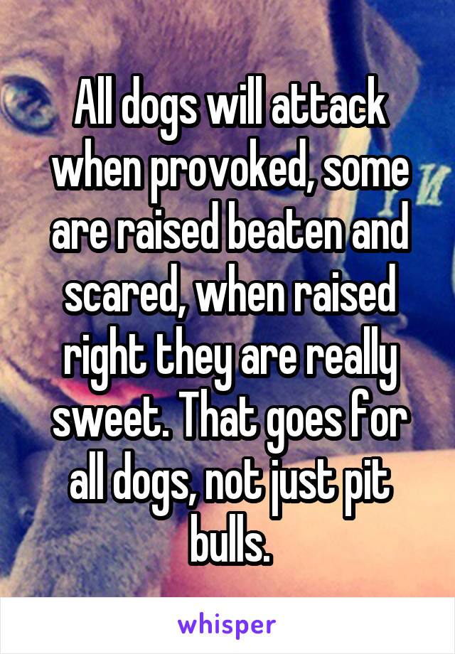 All dogs will attack when provoked, some are raised beaten and scared, when raised right they are really sweet. That goes for all dogs, not just pit bulls.