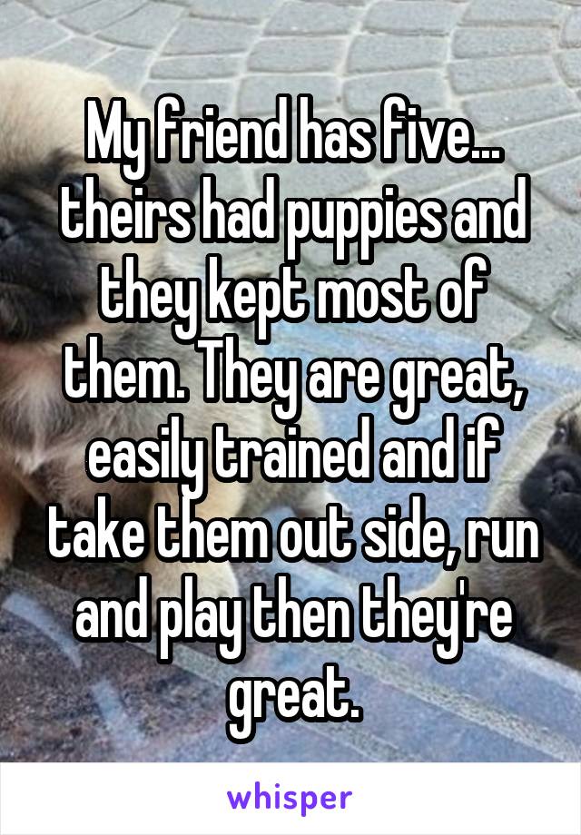 My friend has five... theirs had puppies and they kept most of them. They are great, easily trained and if take them out side, run and play then they're great.