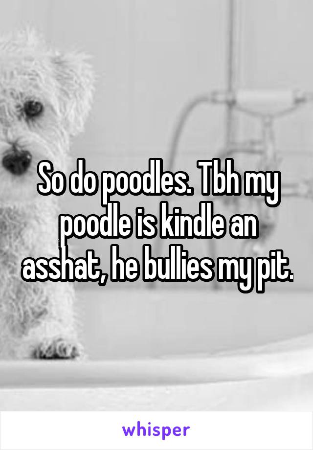 So do poodles. Tbh my poodle is kindle an asshat, he bullies my pit.