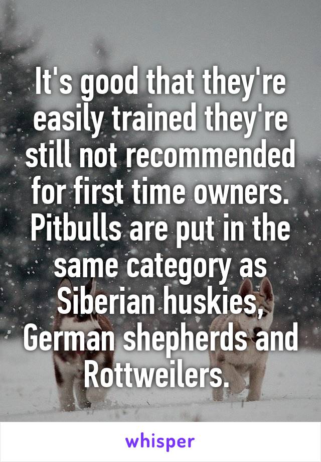 It's good that they're easily trained they're still not recommended for first time owners. Pitbulls are put in the same category as Siberian huskies, German shepherds and Rottweilers. 