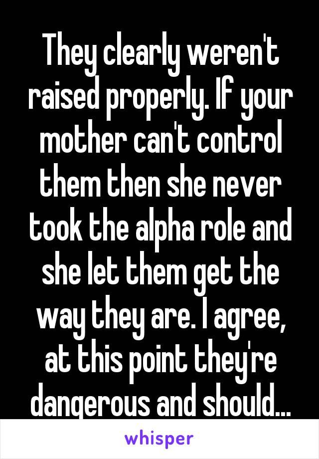 They clearly weren't raised properly. If your mother can't control them then she never took the alpha role and she let them get the way they are. I agree, at this point they're dangerous and should...