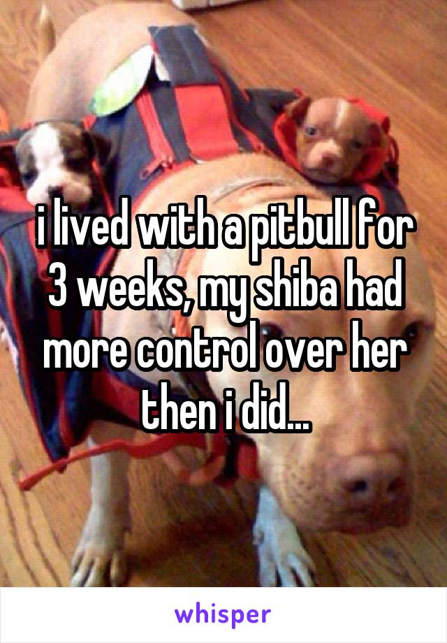 i lived with a pitbull for 3 weeks, my shiba had more control over her then i did...