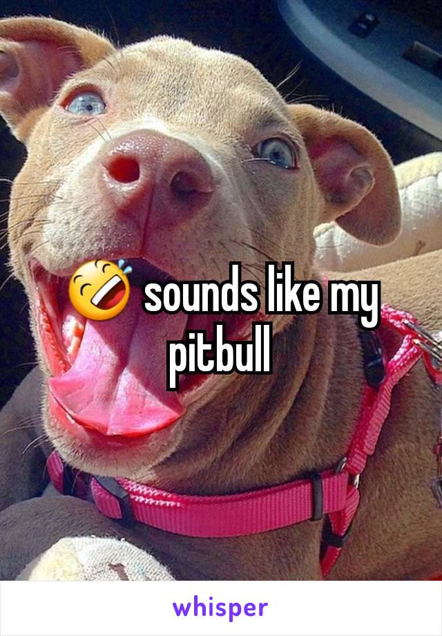 🤣 sounds like my pitbull