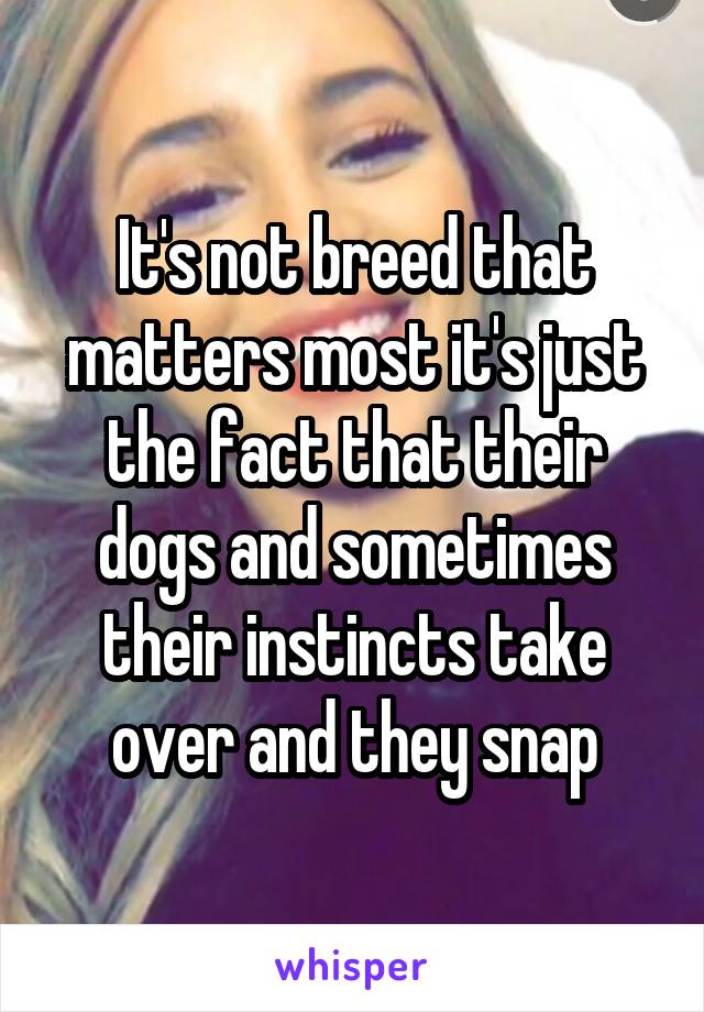 It's not breed that matters most it's just the fact that their dogs and sometimes their instincts take over and they snap