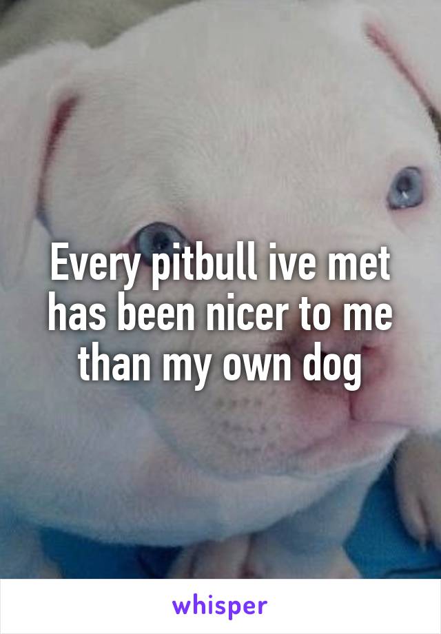 Every pitbull ive met has been nicer to me than my own dog