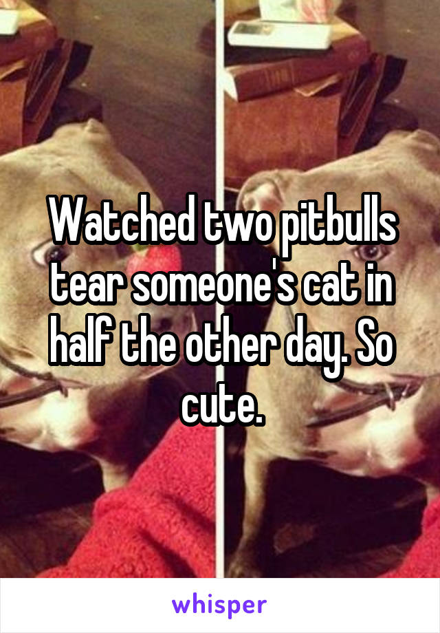 Watched two pitbulls tear someone's cat in half the other day. So cute.